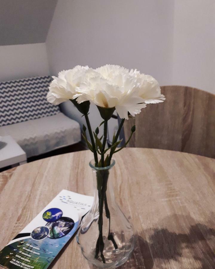 Apartman Lena Tusilovic Eksteriør bilde